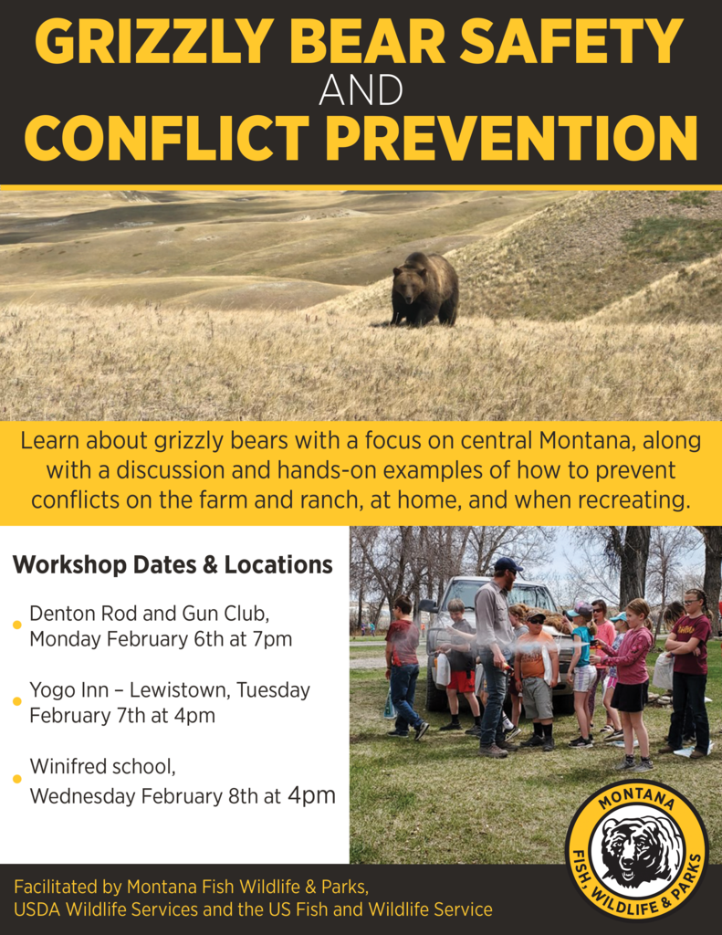 Grizzly Bear Safety